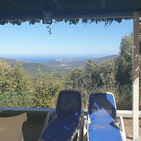 Vos Vacances A Lama France Corse Exteriér fotografie