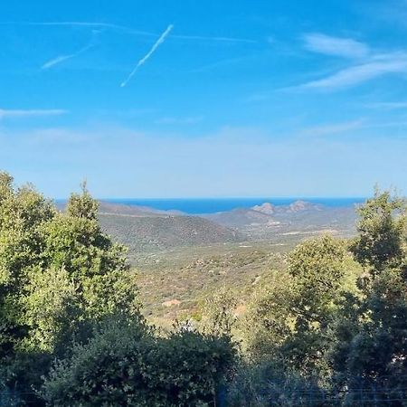 Vos Vacances A Lama France Corse Exteriér fotografie
