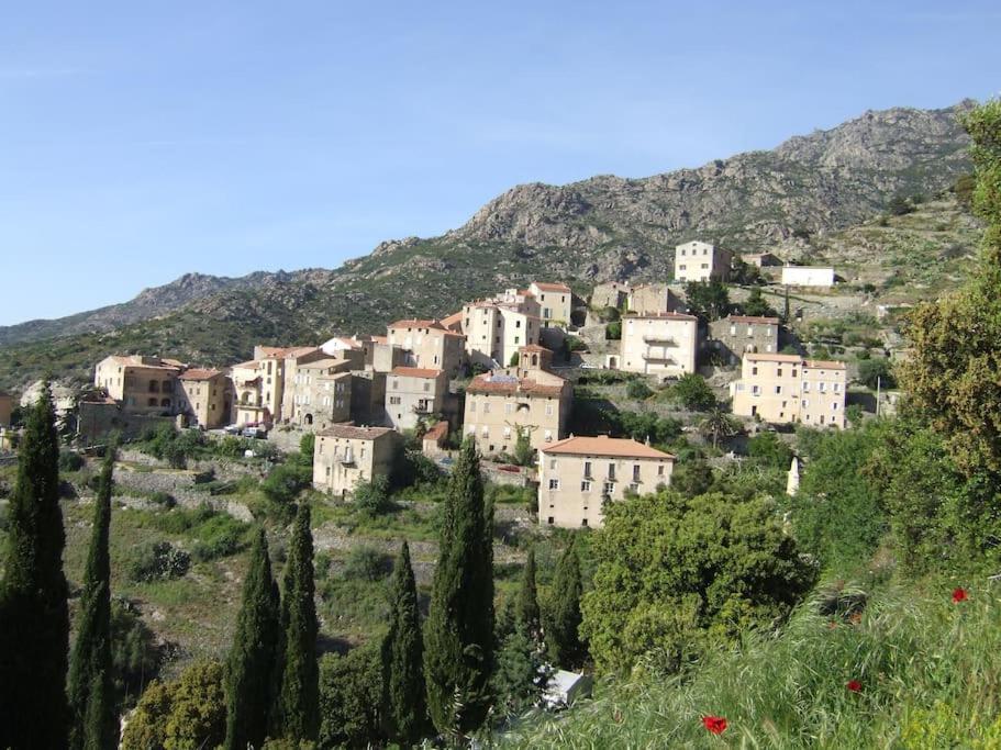 Vos Vacances A Lama France Corse Exteriér fotografie