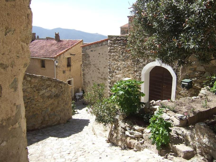 Vos Vacances A Lama France Corse Exteriér fotografie