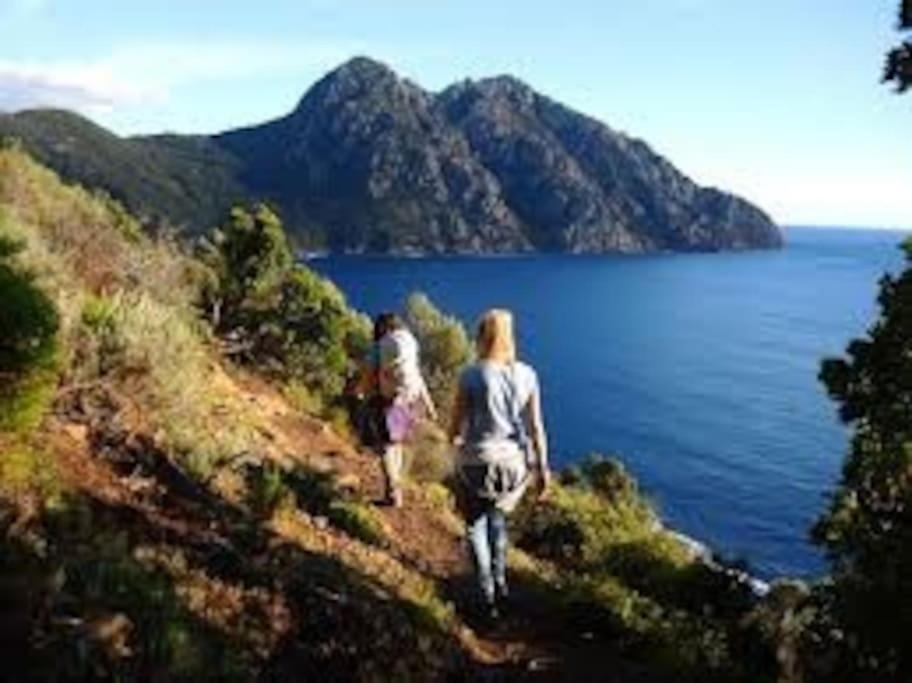 Vos Vacances A Lama France Corse Exteriér fotografie