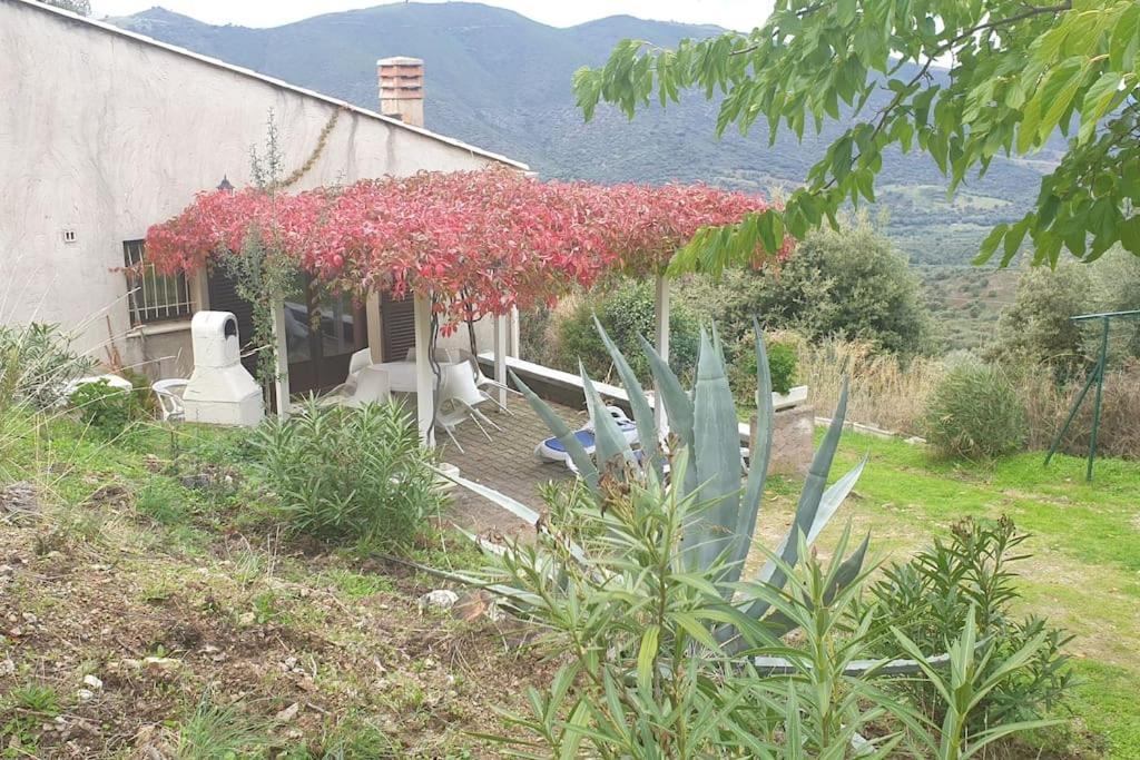 Vos Vacances A Lama France Corse Exteriér fotografie