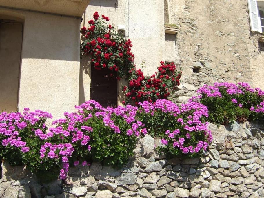 Vos Vacances A Lama France Corse Exteriér fotografie