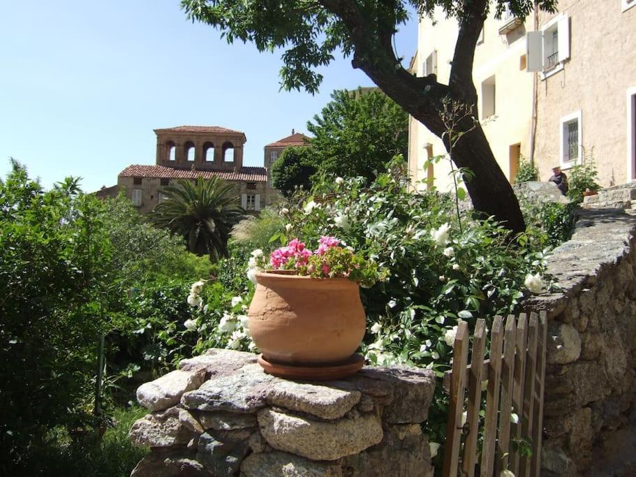 Vos Vacances A Lama France Corse Exteriér fotografie